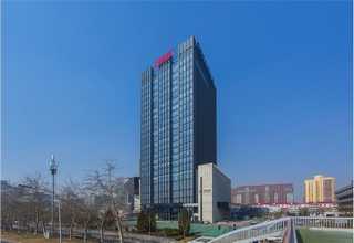 龙华区阳台种菜怎么种好