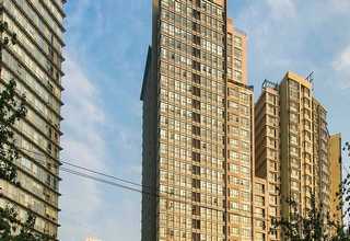 安徽节能圆织机哪里有