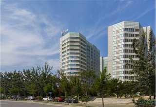 金华热处理木托盘供应商