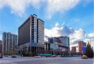 广安本地温室无土栽培